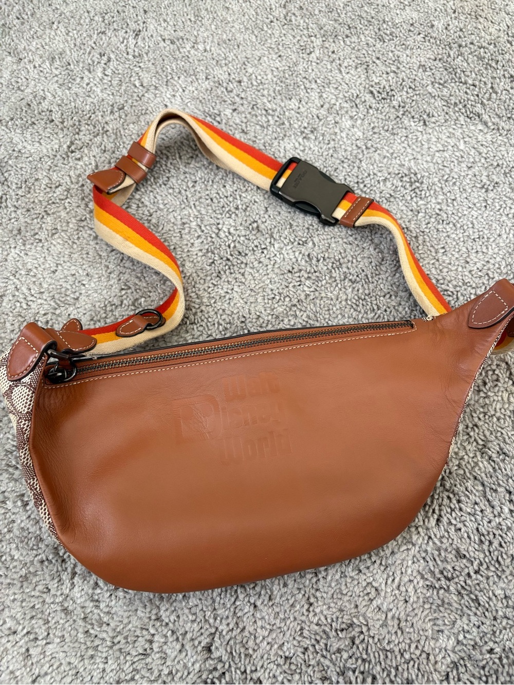 Coach Walt Disney World Fanny Pack - Picture 5 of 5